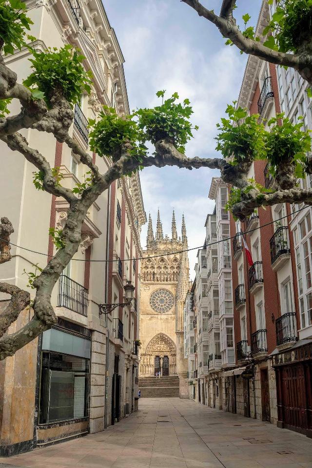 Cathedral town travel image