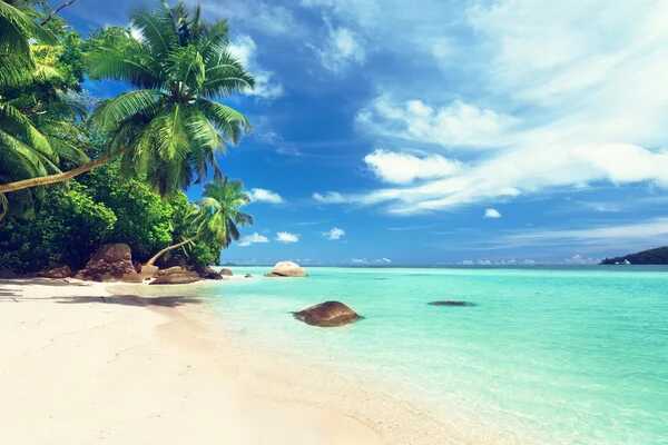 1677748795_depositphotos-41398235-stock-photo-beach-on-mahe-island-seychelles-optimized.jpg